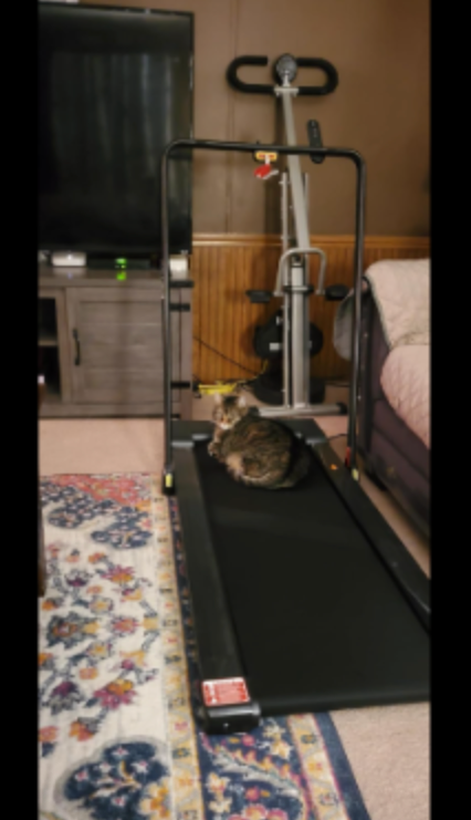 Lichico Portable Treadmill - Customer review photo