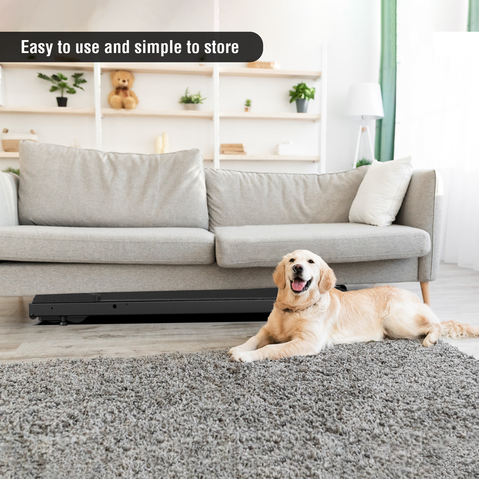 Portable Walkingpad | Lichico Lichico Fitness